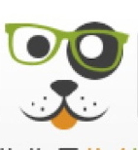 Logo Hundeschule im Hunsrück